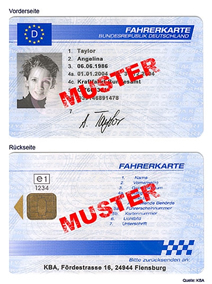 Fahrerkarte